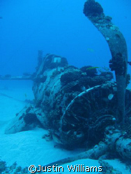 The Corsair off the south coast of Oahu,Hawaii. Shot take... by Justin Williams 